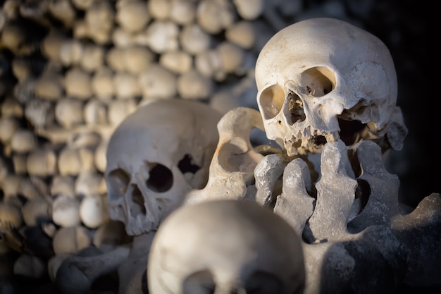 Human bones and skulls as a background