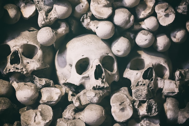 Human bones and skulls as a background