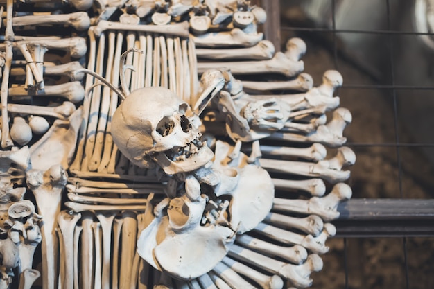 Human bones and skulls in Ossuary. 