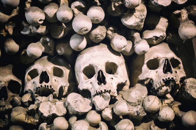 Photo human bones and skulls