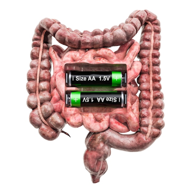 バッテリーを備えた人間の腸の回復と治療のコンセプト 3 D レンダリング