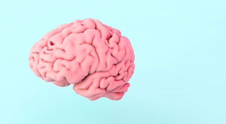 Photo human brain on blue