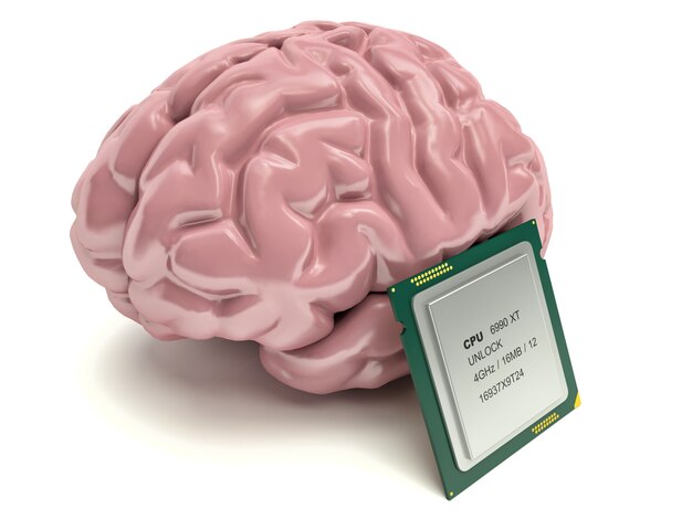 Human brain and computer chip, 3D concept