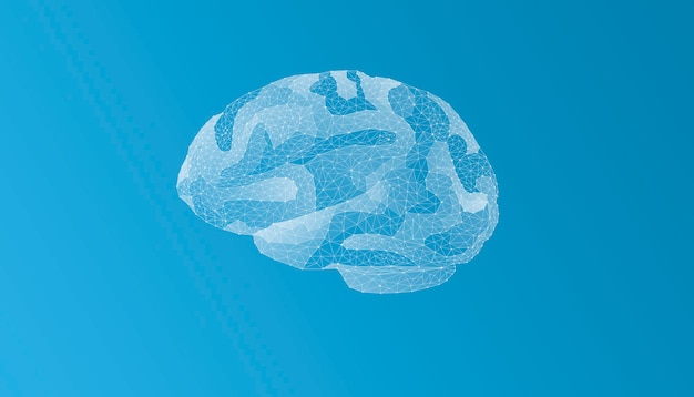 Human brain from the network