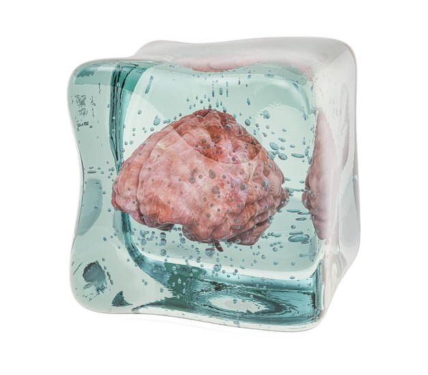 사진 얼음 큐브 3d 렌더링으로 얼어붙은 인간의 뇌