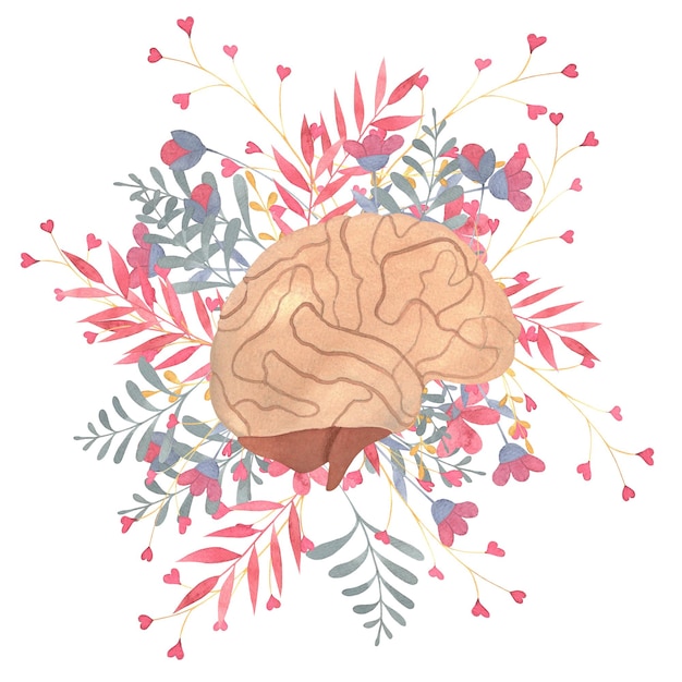 Foto cervello umano organi interni umani fiori ramoscelli acquerello illustrazione per tema cardiologia