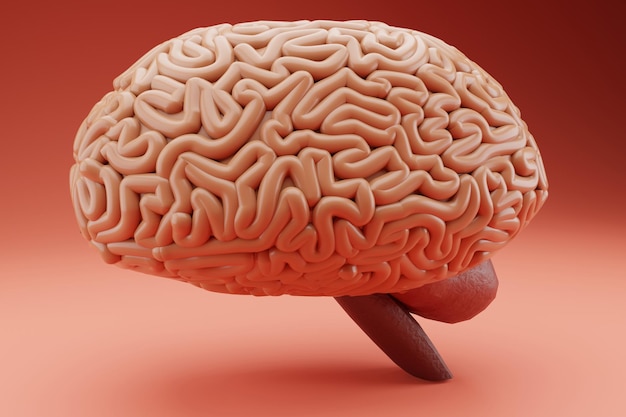 Human brain on light 3D render