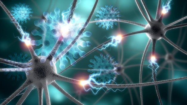 人間の脳の神経系と科学の図