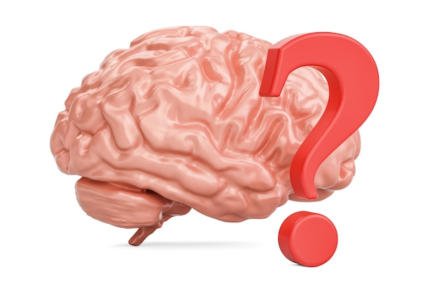 human brain with question mark 3d rendering