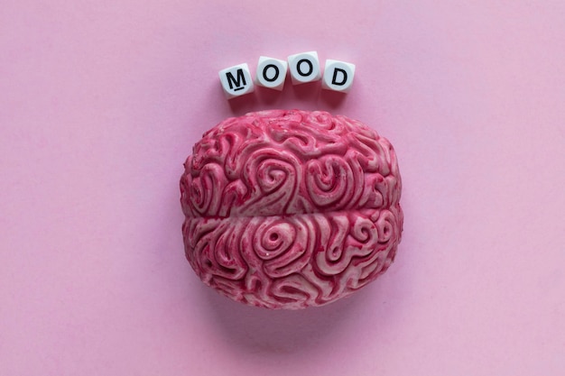 Human brain with the word mood Mental health concept