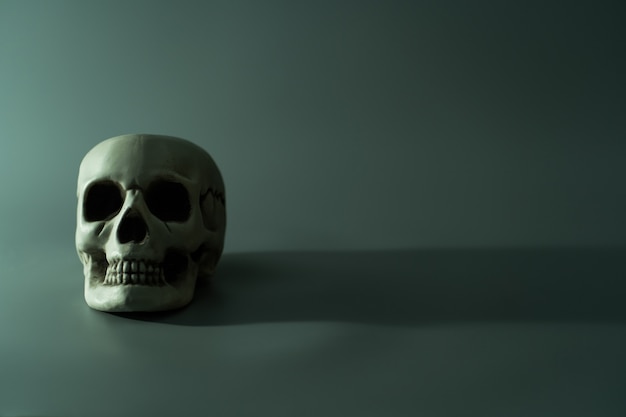 Human dead skull head. Halloween party background