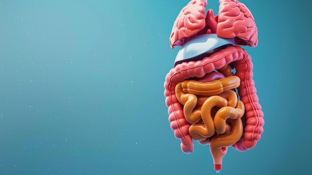 Foto human digestive system illustration