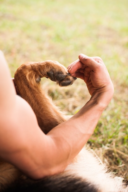 Umano e cane fanno a forma di cuore con le sue mani e zampa