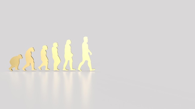 The human evolution image for education or sci concept 3d rendering