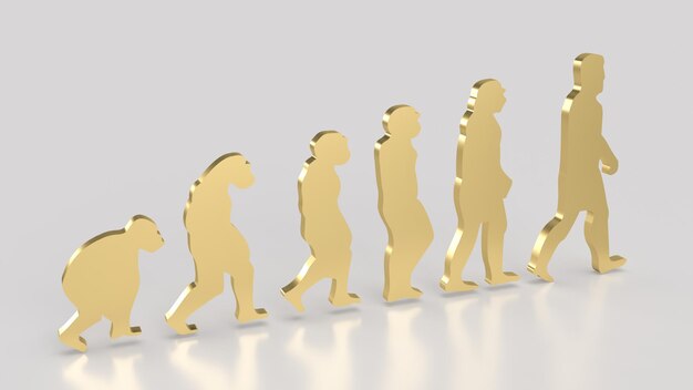 Photo the human evolution image for education or sci concept 3d rendering