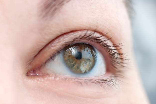 Human eye close up. Female eye