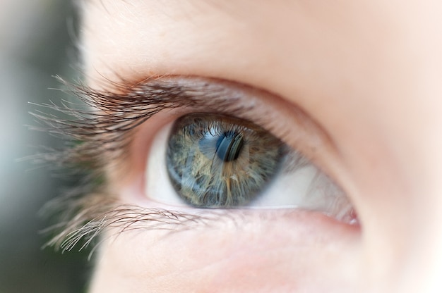 Human eye close up macro photo