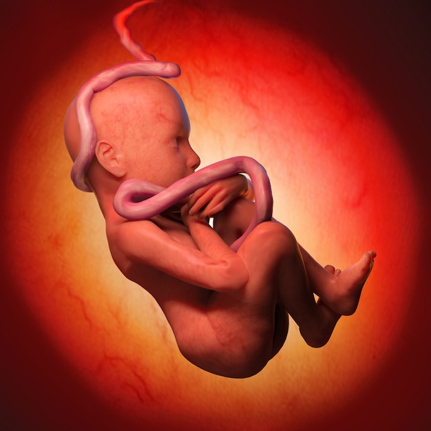 Photo human fetus medical concept graphic and scientific