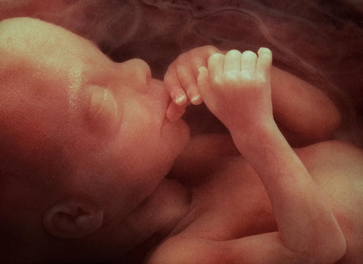 Photo human fetus