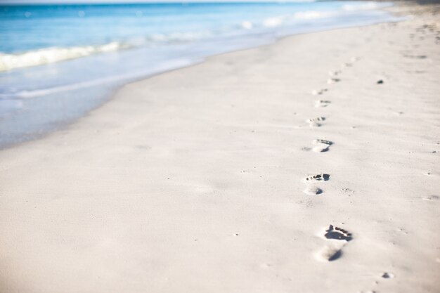 카리브 섬의 하얀 모래에 인간 발자국