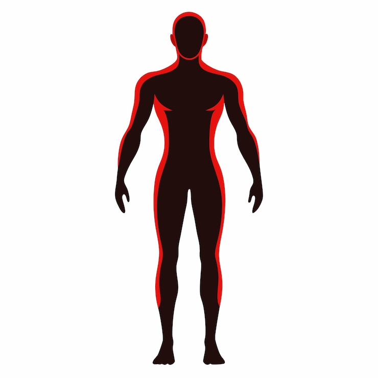Photo human full body silhouette image art for vector illustration on white background