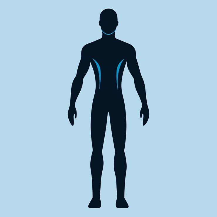 Photo human full body silhouette image art for vector illustration on white background