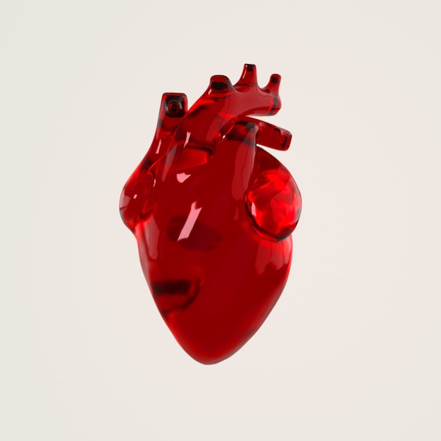 Organo cardiaco umano in vetro con arterie e rendering dell'aorta