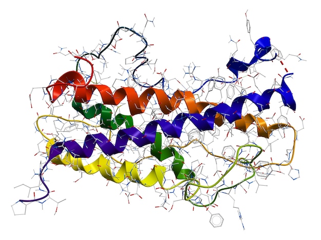 흰색 배경에 인간 성장 호르몬 somatotropin