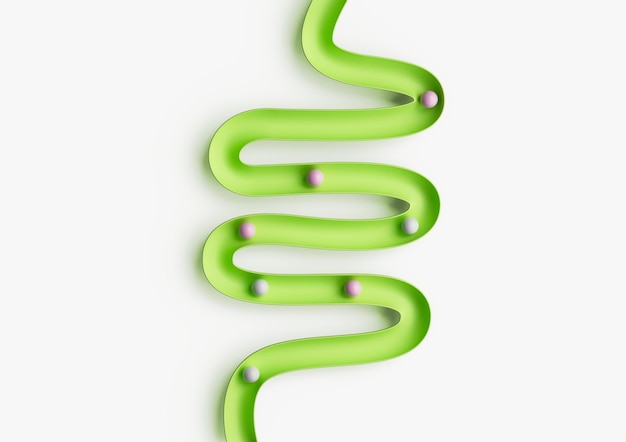 human gut model digestive system or intestinal tract mockup with balls rolling down 3d illustration