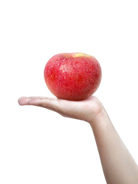 Photo human hand holding a apple isolated on a white background