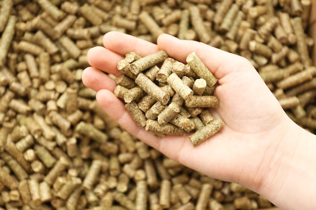 Human hand holding solid wooden pellets, closeup