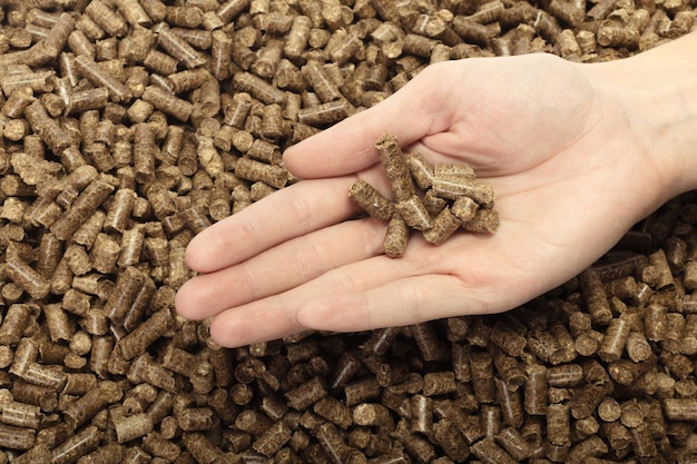 Human hand holding solid wooden pellets