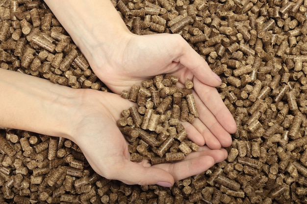 Human hand holding solid wooden pellets