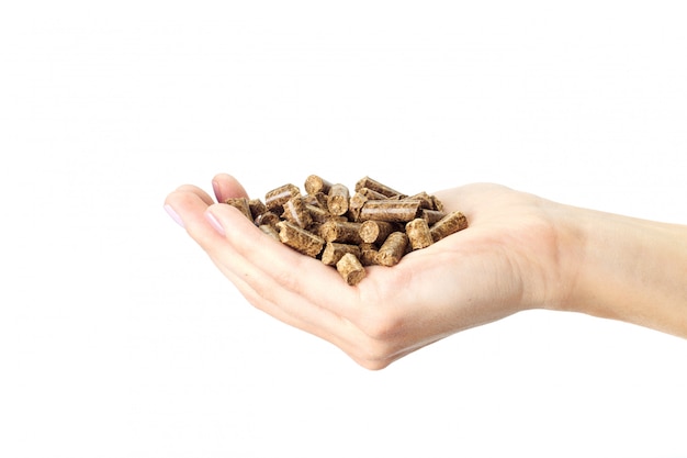 Human hand holding solid wooden pellets