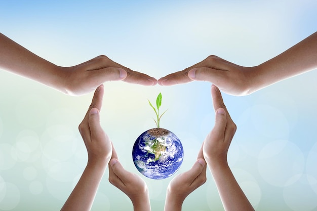 human hand holding tree and world on blurred nature backgroundworld environment day