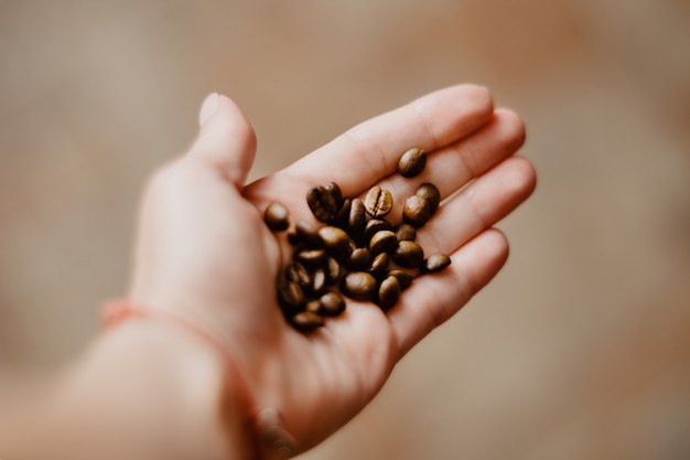 Human hand holds  coffee beans