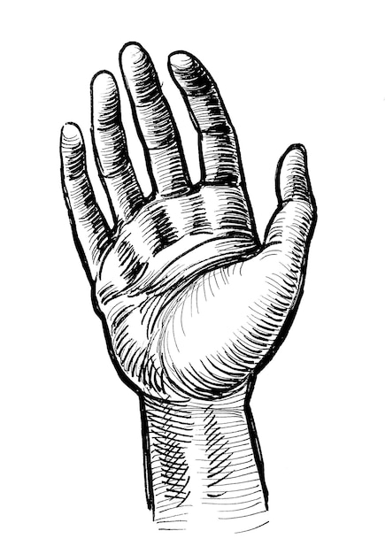 Человеческая рука. Чернила черно-белый рисунок