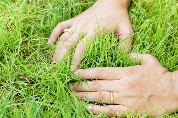 Человеческая рука делает символ сердца на зеленой траве Концепция любви Земли