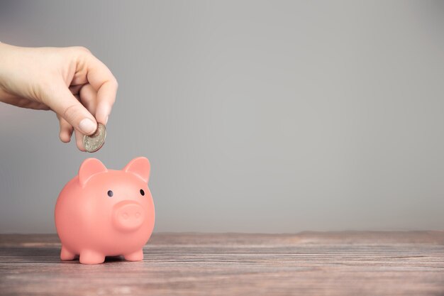 Human Hand Putting Coin In pink Piggy Bank