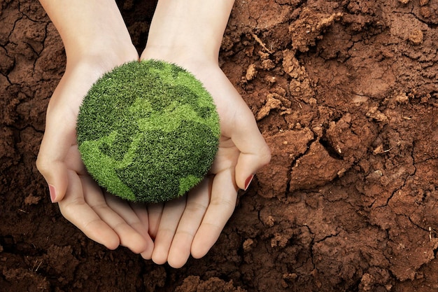 Foto mano umana che mostra terra fertile sopra il campo di siccità