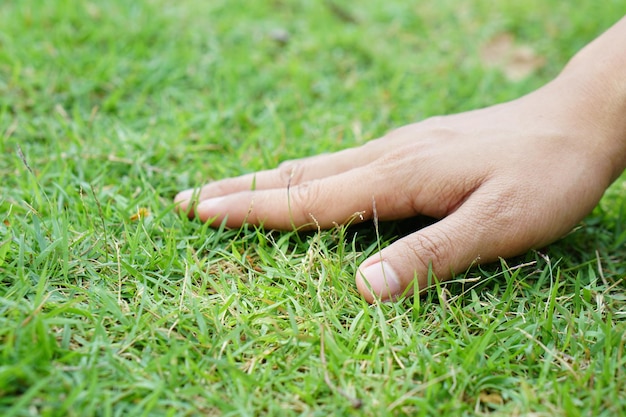 Touch Grass - What does touch grass mean?