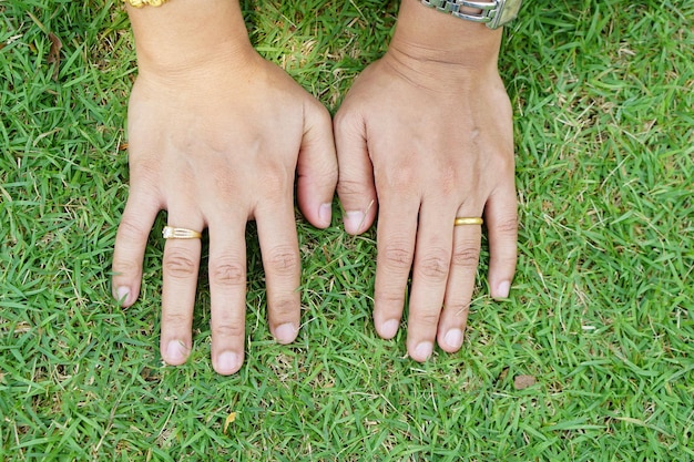 human hand touching grass and soil