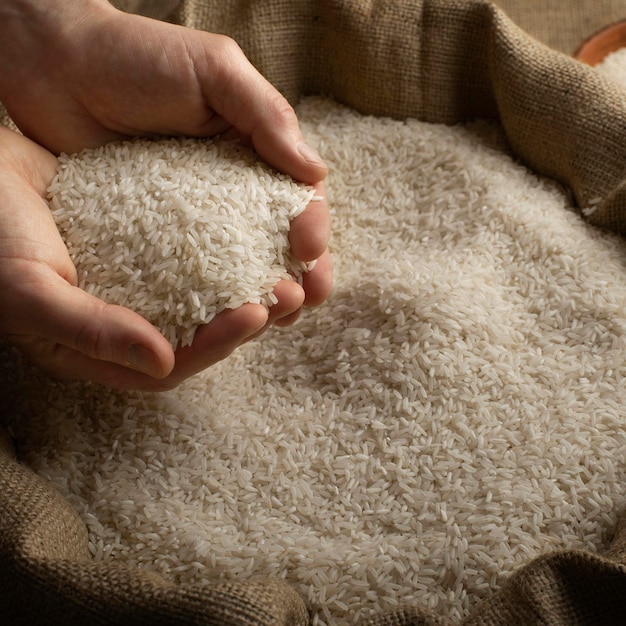 Human hands holding handful of rice over burlap sack