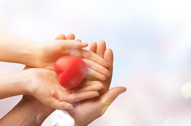 Human hands holding a red heart