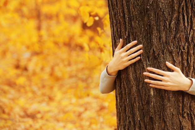 Human hands hugging tree in the park