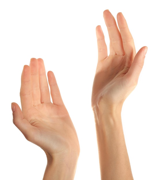 Human hands isolated on white background