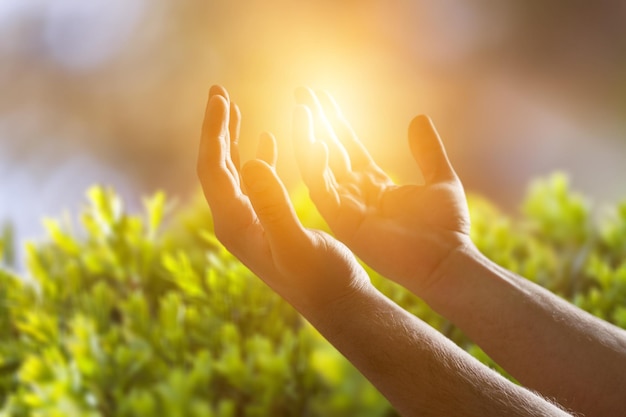 Human hands open palm up worship