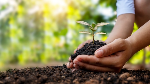 土壌に植物や木を植える人間の手とぼやけた緑の自然の背景アースデイの概念と地球温暖化キャンペーン