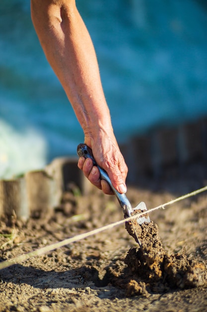 인간의 손은 정원에서 작물을 심기 위해 토양을 준비합니다.