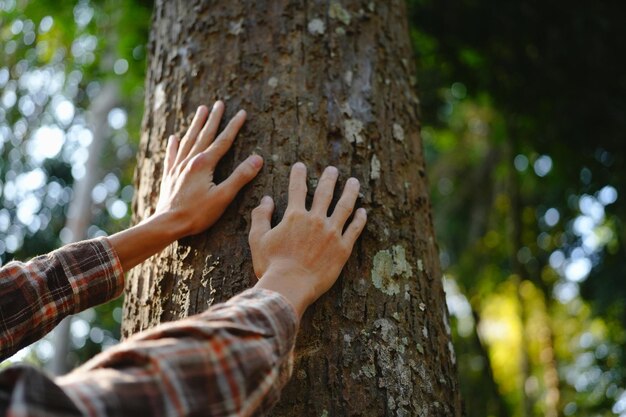 人の手が木に触れたり木を抱きしめたり環境を守ったりCO2 ネットゼロ コンセプト 汚染気候